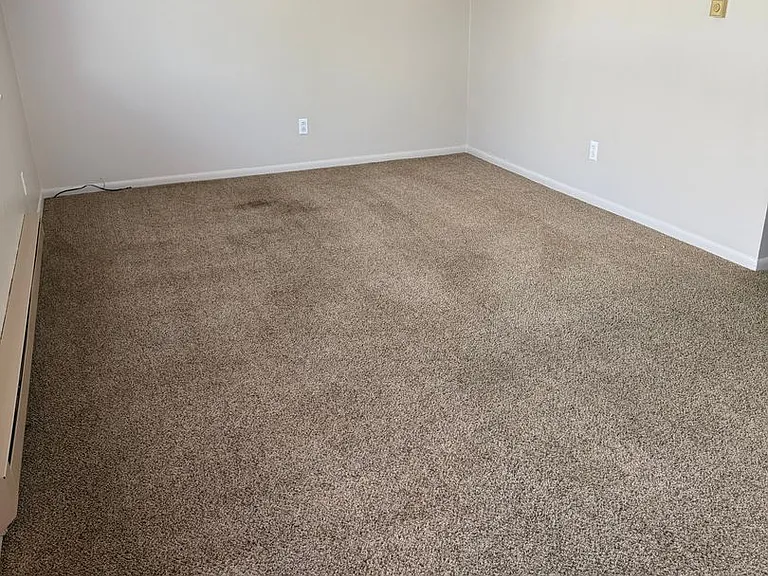 224 E Ellis Rd — Photo 2