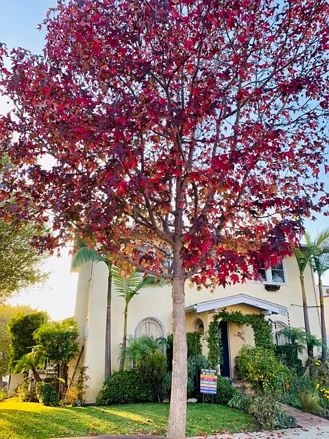 129 S Guadalupe Ave
