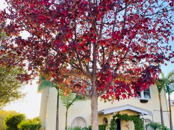 129 S Guadalupe Ave, Redondo Beach, CA 90277