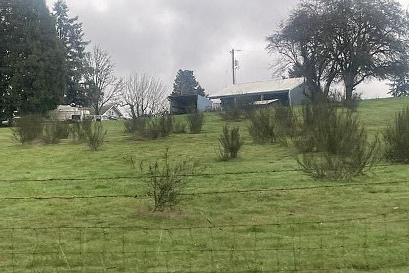 1st image of 20068 S Highway 211