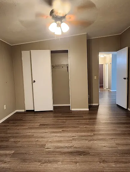 127 Rachel Cv — Photo 8