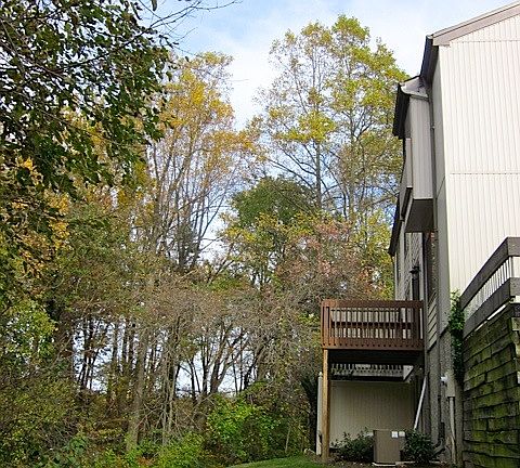 Private deck with wooded view