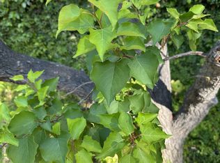 23444 Park Hermosa, Calabasas, CA 91302