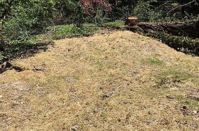 1st image of 9839 Connell Dr