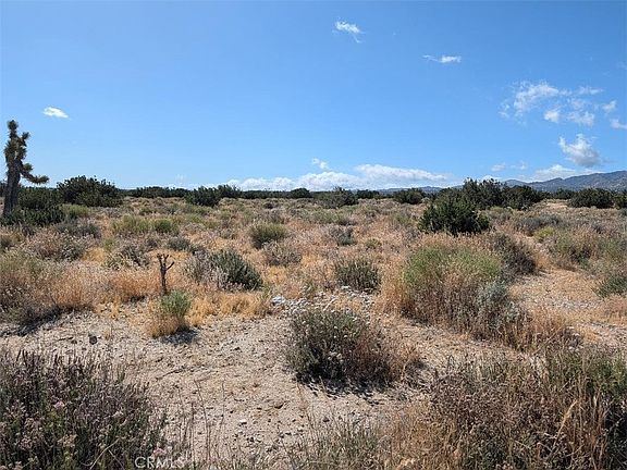 4th image of 33 Antelope Hwy Lot 1
