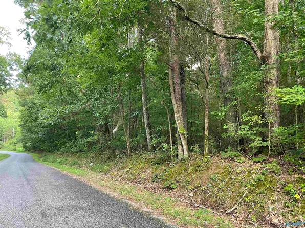 11/ACRE Fishtrap Rd, Grant, AL 35747
