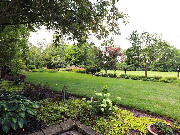4th image of 6834 Hardwood Dr