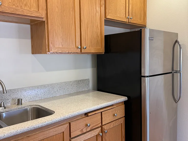 Fridge & cabinets