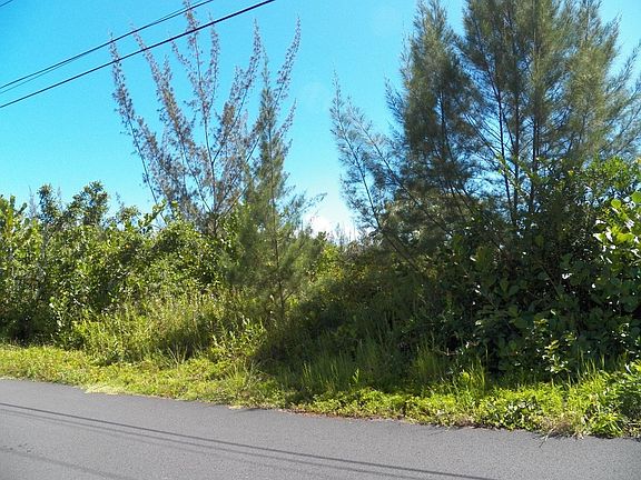 4th image of 1st Avenue Akala Lot 2975