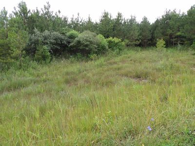 5 Summer City Rd, Evensville, TN, 37332