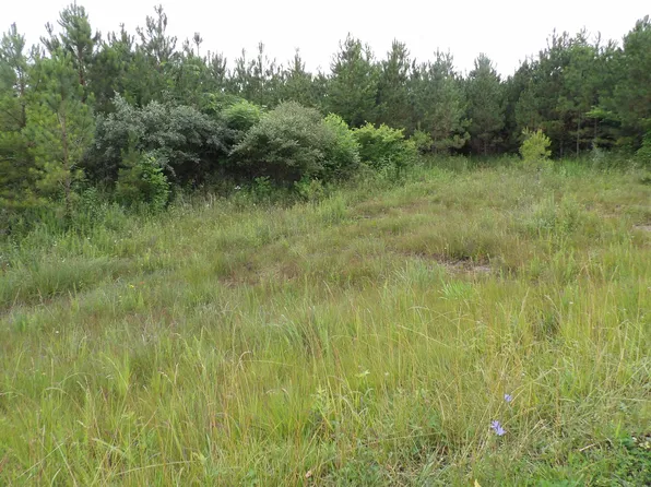 5 Summer City Rd, Evensville, TN 37332