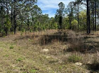 2032 W Corrine St, Citrus Springs, FL 34434