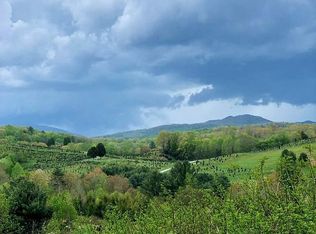 830 Buck Mountain Rd, Roan Mountain, TN 37687