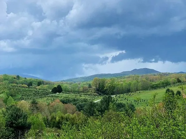 830 Buck Mountain Rd, Roan Mountain, TN 37687