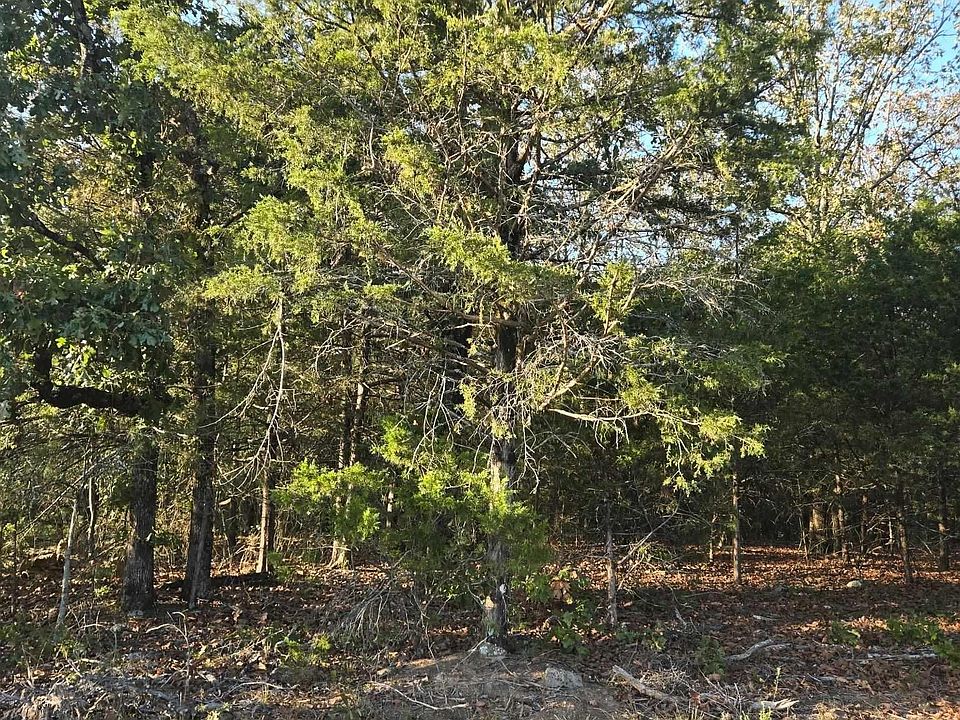 2nd image of 0 Omni Farms Rd