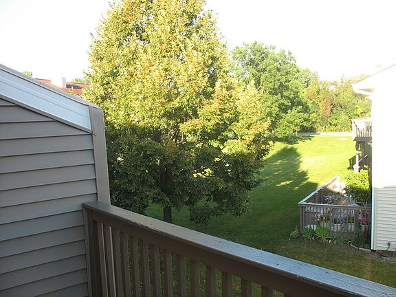 Deck View