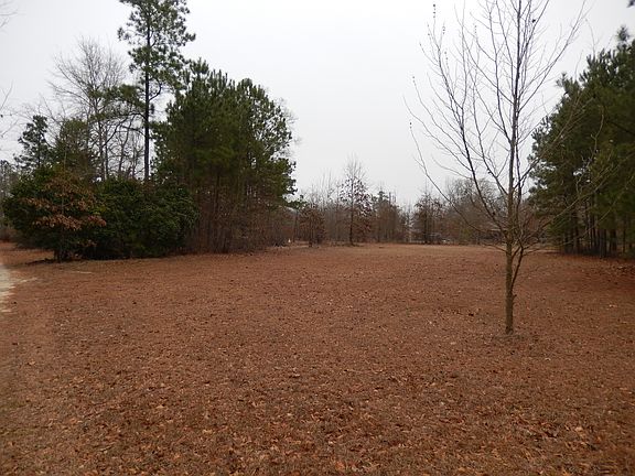 Open yard, south of house