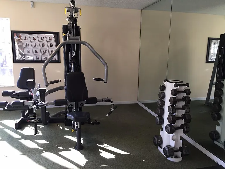 Professional weight set