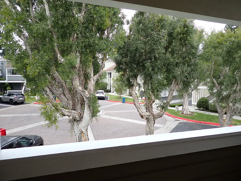 36 Rambling Ln — Photo 31