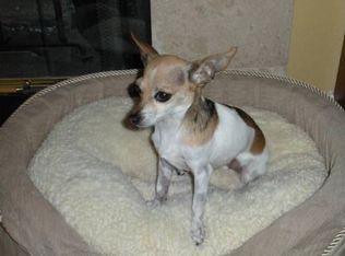 12345 Riverside Dr, Valley Village, CA 91607