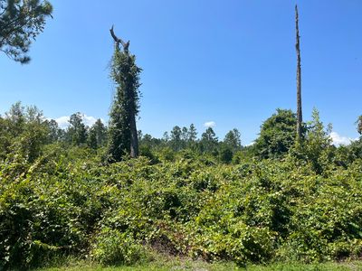 107 Lake Margaret Boulevard, Pomona Park, FL, 32181