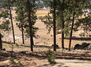 292 Rock Rd, Bailey, CO 80421