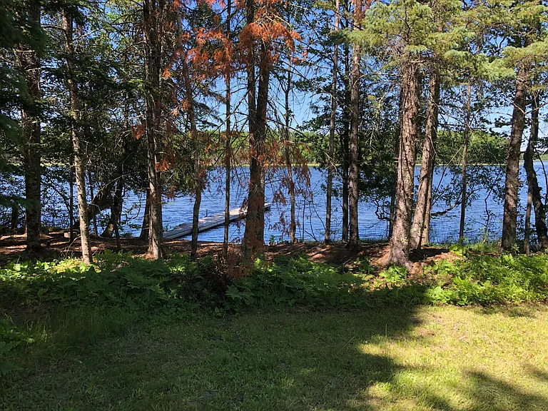 52908 Brush Shanty Lake Rd — Photo 6