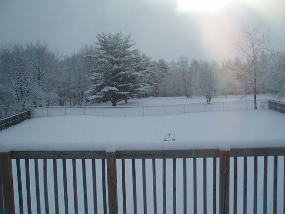 Backyard from upper deck, no neighbors, what a view.