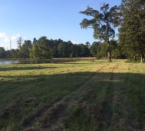 4th image of LA Hwy 190 Lot 1-B-1
