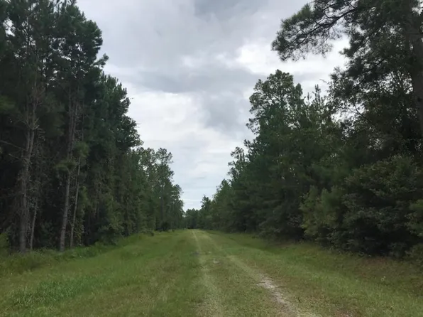 SW Naples Ter, Greenville, FL 32331