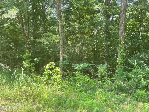 Magnolia Cir Lot 65, Sarah, MS 38665