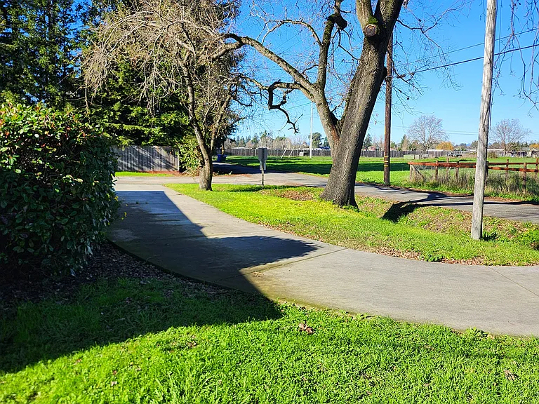 Horn Ave — Photo 20