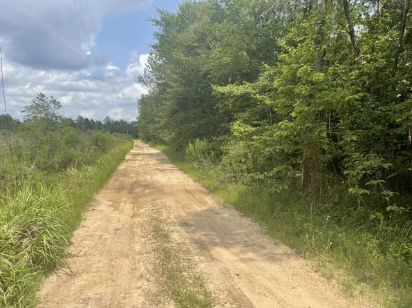 0 Lucas Rd, Axis, AL 36505