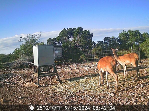 TBD Dolan Creek Rd, Comstock, TX 78837