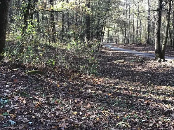 6 Redbird Dr, Hayesville, NC 28904