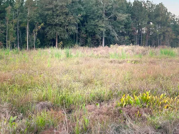 16489 Peacock Dr, Walker, LA 70785