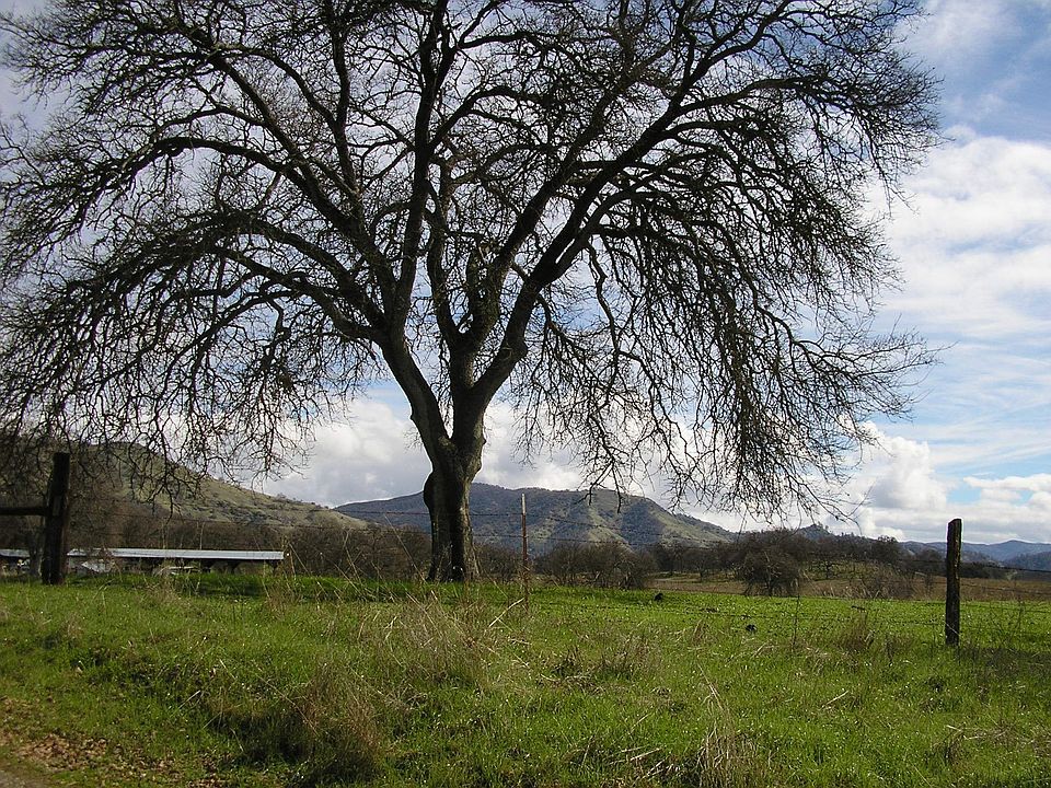 80 Spectacular Acres