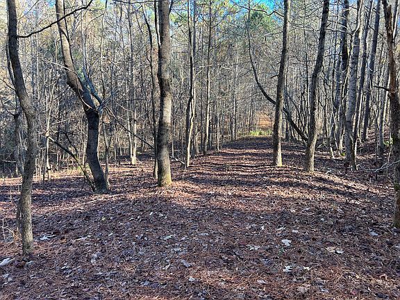 5th image of 1020 County Road 57 Lot Wp001