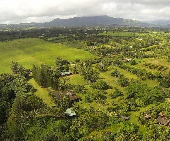 2nd image of 2638C Kauapea Rd #B