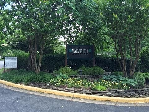 Pristine treed community