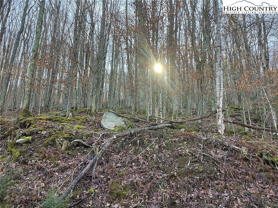 1st image of 197 Wild Daisy Lane