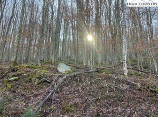 197 Wild Daisy Ln, Banner Elk, NC 28604