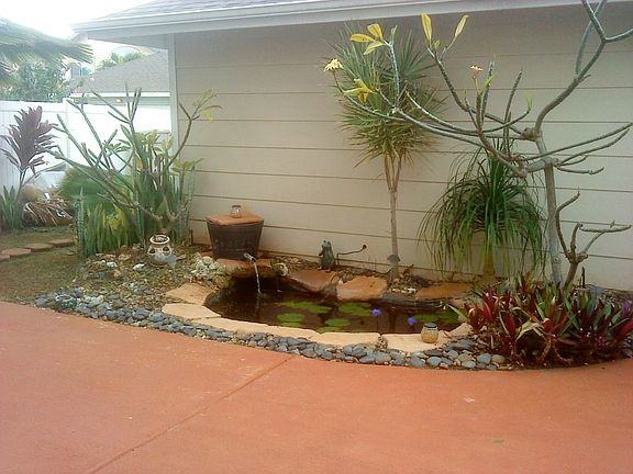 Koi Pond