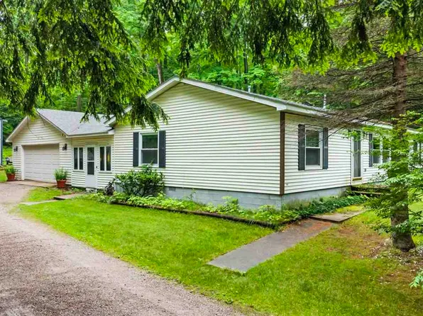 9649 Rogers Rd, Alanson, MI 49706