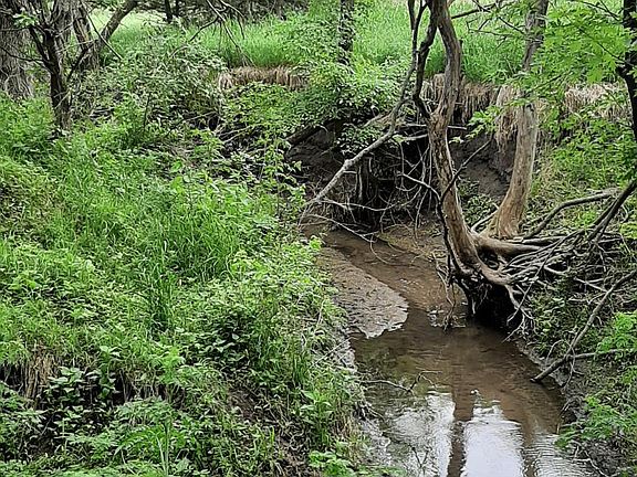 Creek on property