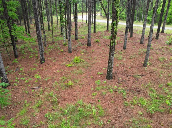 628 Starlight Dr Lot 176, Linden, TN 37096