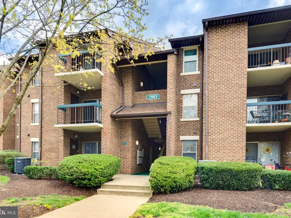 7903 Coriander Dr APT 203, Gaithersburg, MD 20879