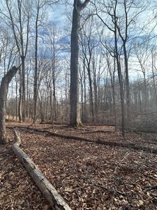 0 Blackberry Rd, Madison Heights, VA, 24572