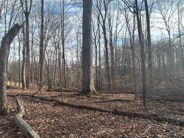 0 Blackberry Rd, Madison Heights, VA 24572