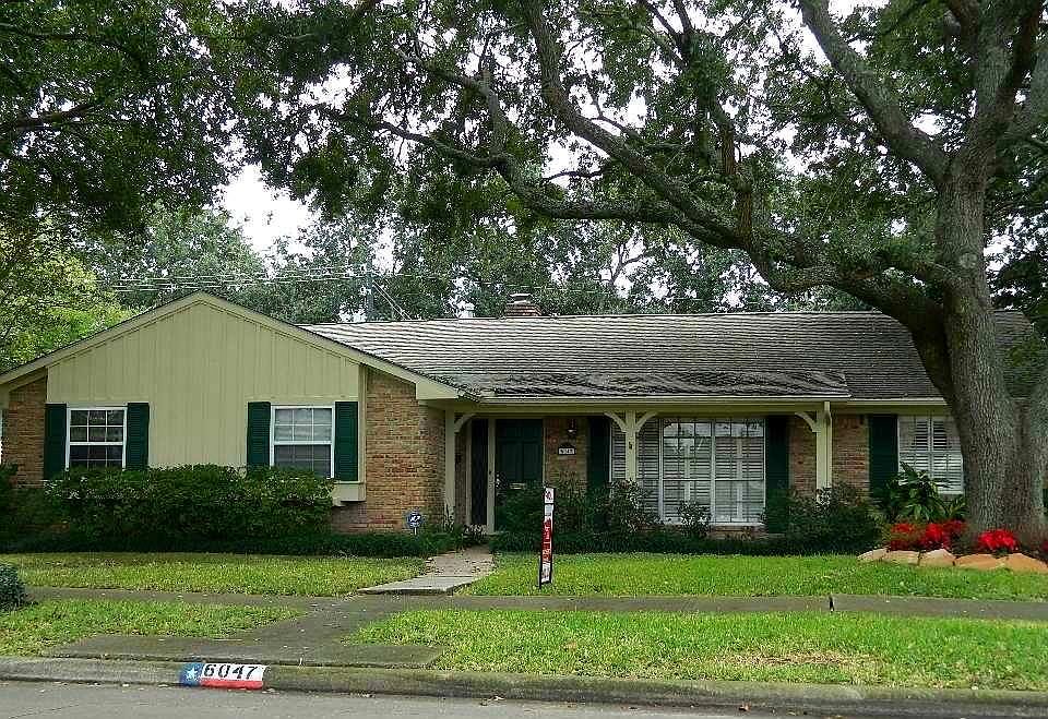 Stunning curb appeal with winter Azaleas on the brink of blooming.